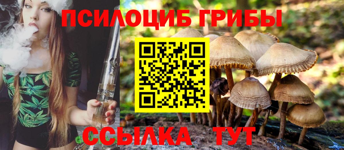 Псилоцибиновые грибы Psilocybe  Вход с VPN  Мичуринск  Галлюциногенные грибы Psilocybe 