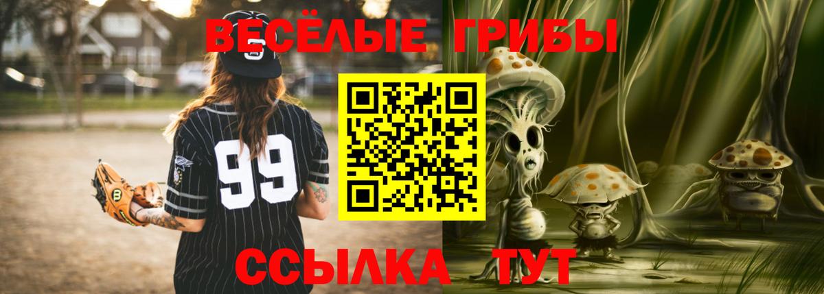 Псилоцибиновые грибы MAGIC MUSHROOMS Мичуринск
